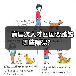 高层次人才回国要跨越哪些障碍？-图5