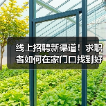 线上招聘新渠道！求职者如何在家门口找到好工作？-图3