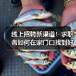 线上招聘新渠道！求职者如何在家门口找到好工作？-图6