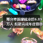 邢台市新增就业超6.89万人 超额完成年度目标-图6