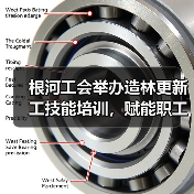 根河工会举办造林更新工技能培训,赋能职工就业-图6 根河工会举办造林更新工技能培训,赋能职工就业-图6