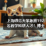 上海师范大学急招192名教学科研人才！博士教授速来！-图5
