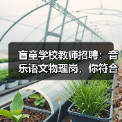 盲童学校教师招聘:音乐语文物理岗,你符合条件吗?-图3 盲童学校教师招聘:音乐语文物理岗,你符合条件吗?-图3