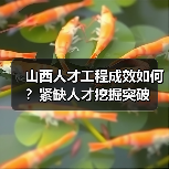 山西人才工程成效如何?紧缺人才挖掘突破-图5 山西人才工程成效如何?紧缺人才挖掘突破-图5