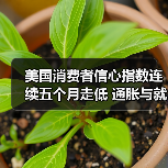 美国消费者信心指数连续五个月走低 通胀与就业仍存隐忧-图3 美国消费者信心指数连续五个月走低 通胀与就业仍存隐忧-图3
