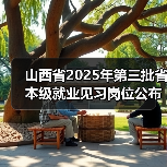山西省2025年第三批省本级就业见习岗位公布-图4