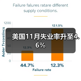 美国11月失业率升至4.6%-图3