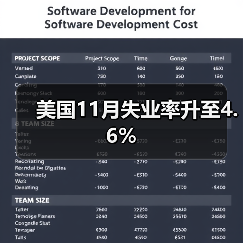 美国11月失业率升至4.6%-图4
