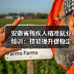 安徽省残疾人精准就业培训:技能提升促稳定就业-图6 安徽省残疾人精准就业培训:技能提升促稳定就业-图6