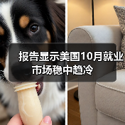 报告显示美国10月就业市场稳中趋冷-图3