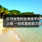 长沙女性创业支持平台上线 一站式服务助力就业-图3