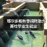 鄂尔多斯秋季招聘助力高校毕业生就业-图3 鄂尔多斯秋季招聘助力高校毕业生就业-图3