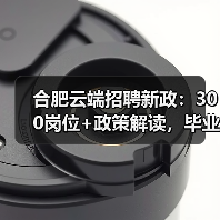 合肥云端招聘新政:300岗位+政策解读,毕业生如何把握?-图3 合肥云端招聘新政:300岗位+政策解读,毕业生如何把握?-图3