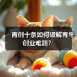 青创十条如何破解青年创业难题?-图4 青创十条如何破解青年创业难题?-图4