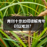 青创十条如何破解青年创业难题?-图6 青创十条如何破解青年创业难题?-图6
