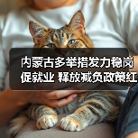 内蒙古多举措发力稳岗促就业 释放减负政策红利-图6 内蒙古多举措发力稳岗促就业 释放减负政策红利-图6