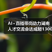 AI+直播带岗助力湖南人才交流会达成超1300就业意向-图5