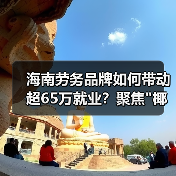 海南劳务品牌如何带动超65万就业?聚焦”椰字号”发展路径-图5 海南劳务品牌如何带动超65万就业?聚焦”椰字号”发展路径-图5