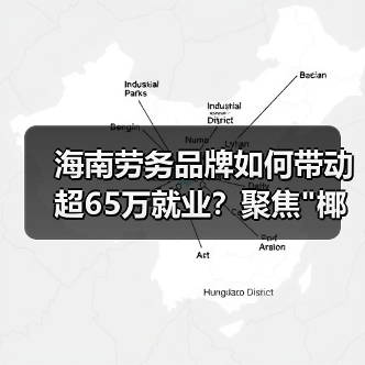 海南劳务品牌如何带动超65万就业?聚焦”椰字号”发展路径-图6 海南劳务品牌如何带动超65万就业?聚焦”椰字号”发展路径-图6