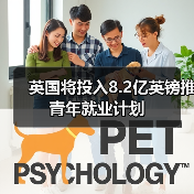 英国将投入8.2亿英镑推青年就业计划-图6