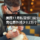 美国11月私营部门就业岗位意外减少3.2万个-图3