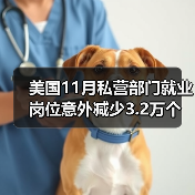 美国11月私营部门就业岗位意外减少3.2万个-图5