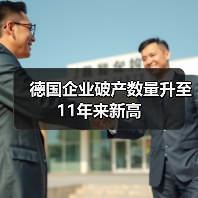 德国企业破产数量升至11年来新高-图4 德国企业破产数量升至11年来新高-图4