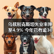 乌兹别克斯坦失业率降至4.9% 今年已有逾30万家庭脱贫-图3