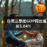印尼三季度GDP同比增长5.04%-图4