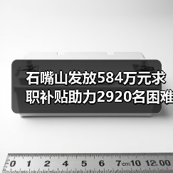 石嘴山发放584万元求职补贴助力2920名困难毕业生-图5