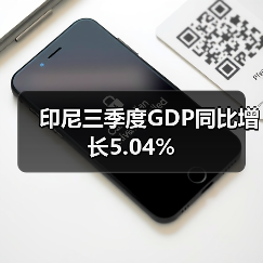 印尼三季度GDP同比增长5.04%-图6