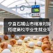 宁夏石嘴山市精准对接搭建高校毕业生就业平台-图6