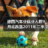 德国汽车业就业人数9月底跌至2011年二季度以来新低-图4 德国汽车业就业人数9月底跌至2011年二季度以来新低-图4