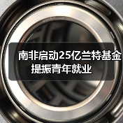 南非启动25亿兰特基金提振青年就业-图4