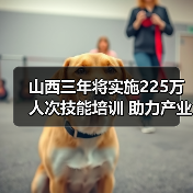 山西三年将实施225万人次技能培训 助力产业升级与就业增收-图5 山西三年将实施225万人次技能培训 助力产业升级与就业增收-图5