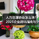 人力资源协会怎么选？2025企业避坑指南与5大选择要点-图3