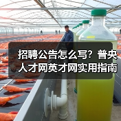 招聘公告怎么写？普央人才网英才网实用指南2026-图6